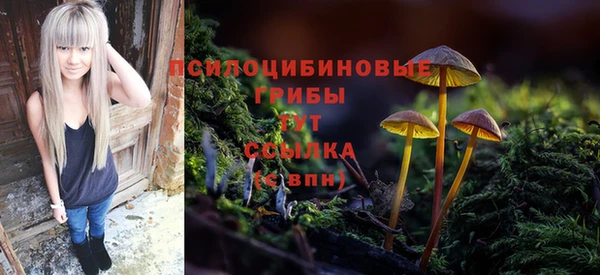хмурый Абинск