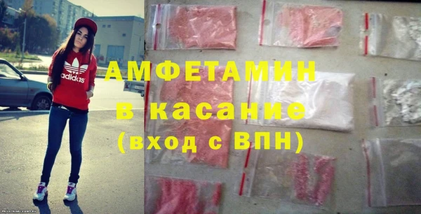 стаф Алзамай