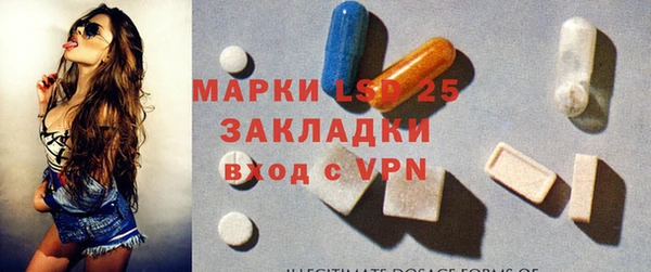 стаф Алзамай