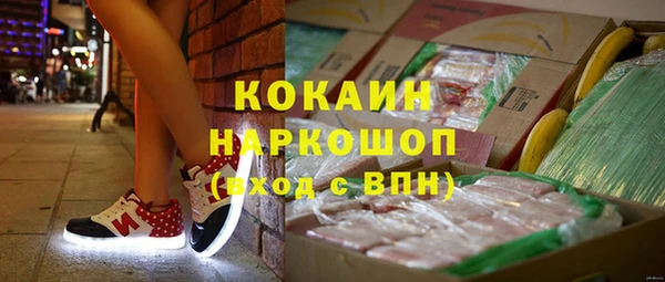 молекула духа Алексин