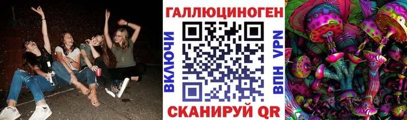 МЕГА ссылки  Гусиноозёрск  Псилоцибиновые грибы Magic Shrooms 